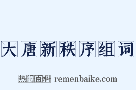 大唐新秩序组词是什么意思的图片
